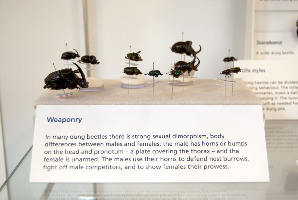 weaponry